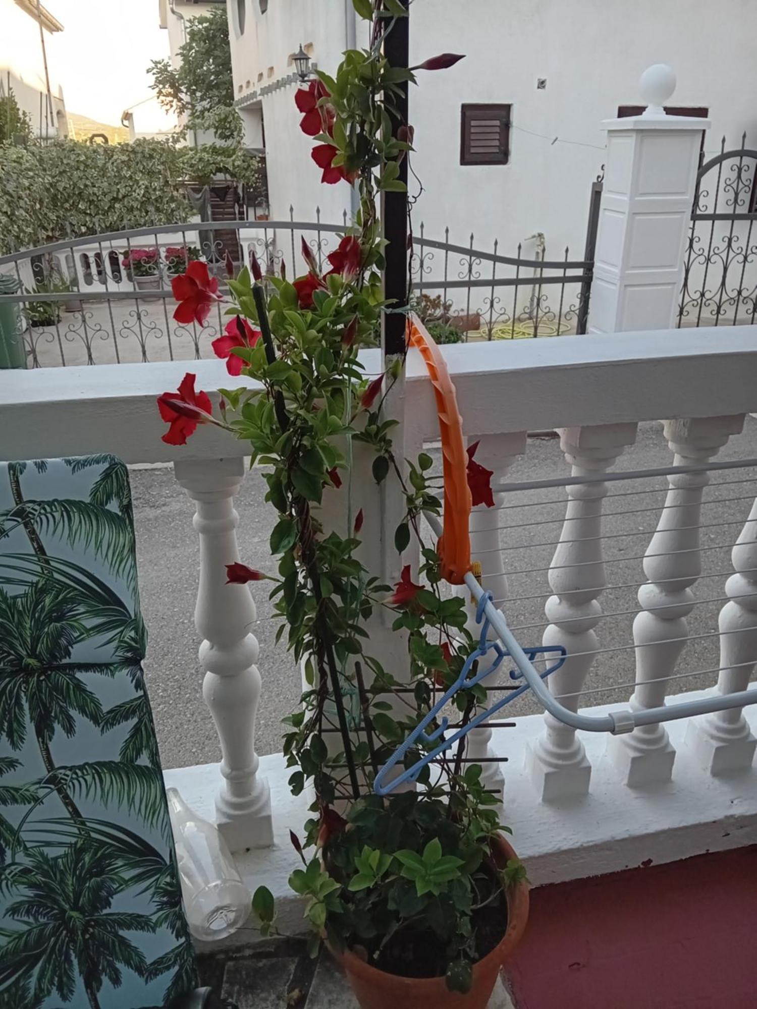 Apartments Vendi شيبينيك المظهر الخارجي الصورة