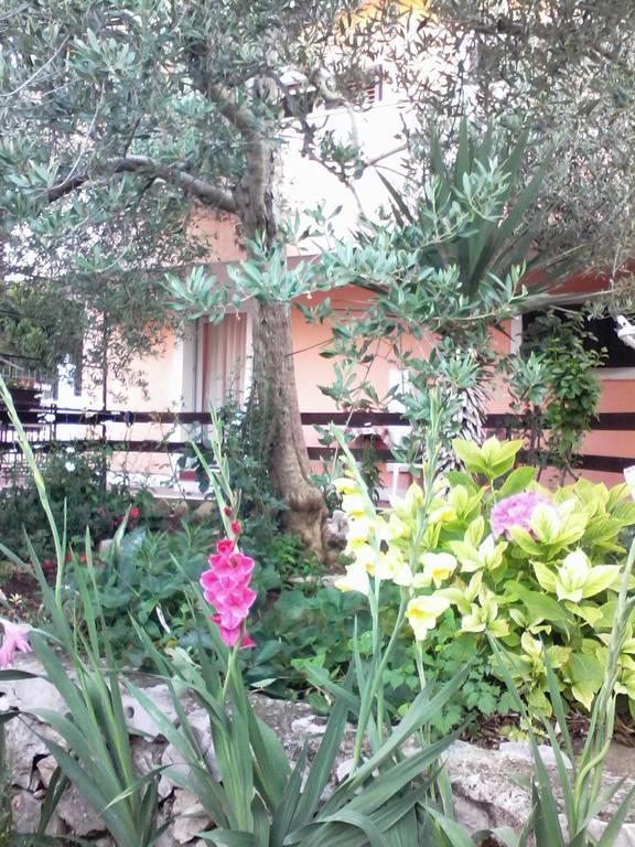 Apartments Vendi شيبينيك المظهر الخارجي الصورة