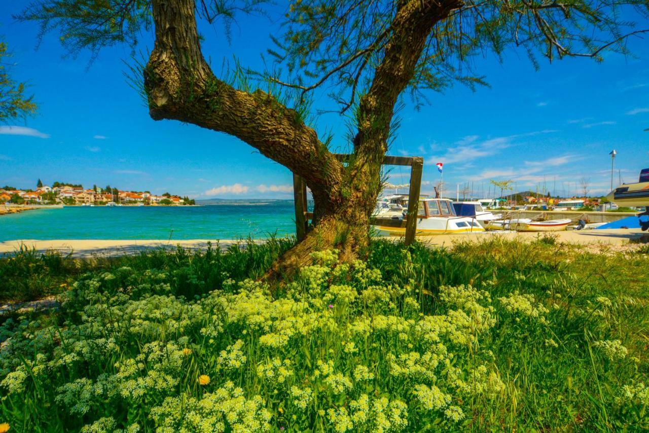 Apartments Vendi شيبينيك المظهر الخارجي الصورة